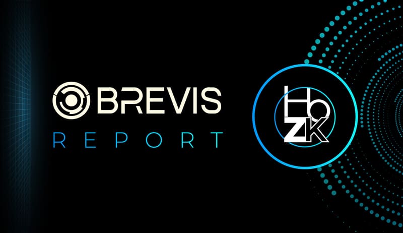 Brevis ��һ���������ܺ�Լ�����ݼ��������ʩ