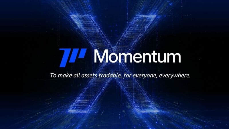 Momentum�����к���